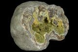 Yellow Crystal Filled Septarian Geode ( lbs) - Utah #135441-3